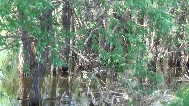 Май. Иртыш. Рыбалка.