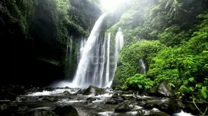 Медитация Обретение радости