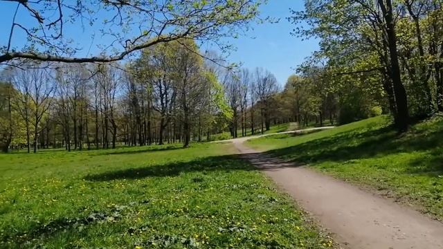 65км на двух велосипедах GT смотреть онлайн