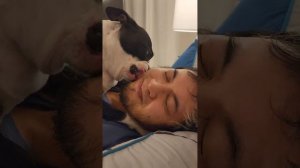 ASMR 11 Minutes of Dog Licking