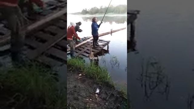 Рыбалка на Свиди. Архангельской обл Каргопольского района смотреть онлайн