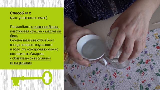 ПРОВЕРЕННЫЕ И ОРИГИНАЛЬНЫЕ СПОСОБЫ ПРОРАЩИВАНИЯ СЕМЯН смотреть онлайн