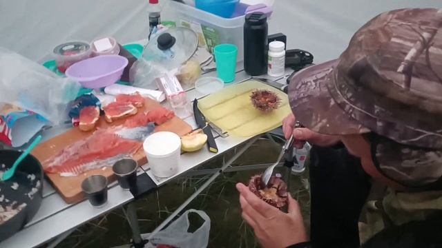 с. Териберка июнь 2023 смотреть онлайн