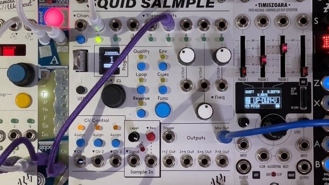 Introducing Pet Rock (the rogue-like moon based Eurorack Module) смотреть онлайн
