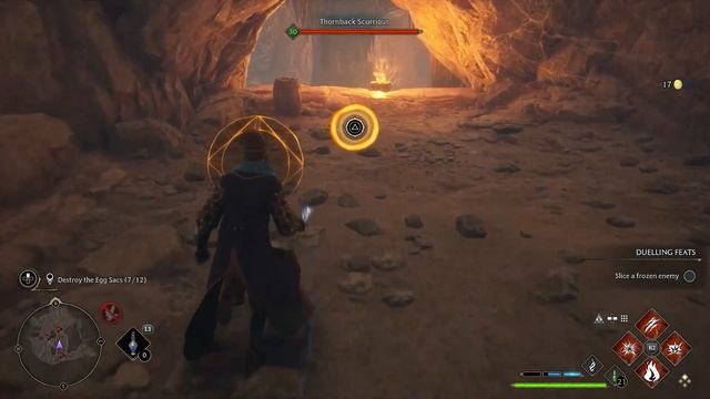 Tangled Web Hogwarts Legacy