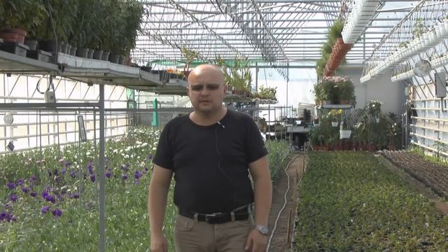 Зимние теплицы Доброта. Система поддува межпленочного пространства теплицы смотреть онлайн
