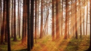 *Поль МОРИА - Сборник мелодий «Золотая осень»