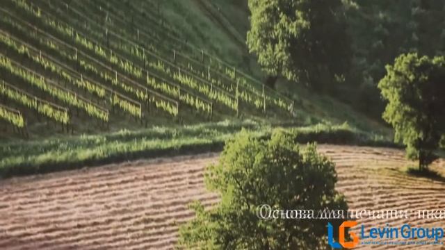 Фотопечать на жалюзи от компании "Levin-Group" смотреть онлайн