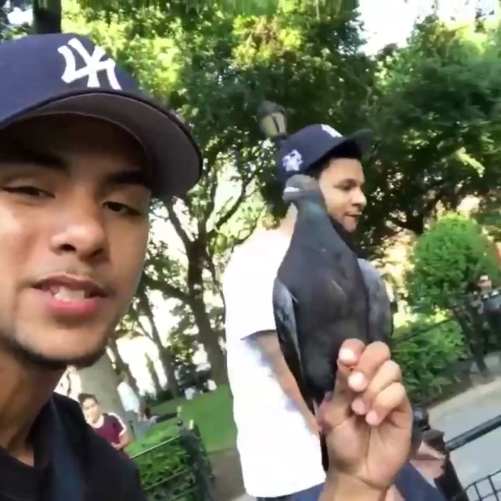 Современная Белоснежка смотреть онлайн