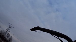 Кормоуборочный комбайн Fortschritt Е 281.