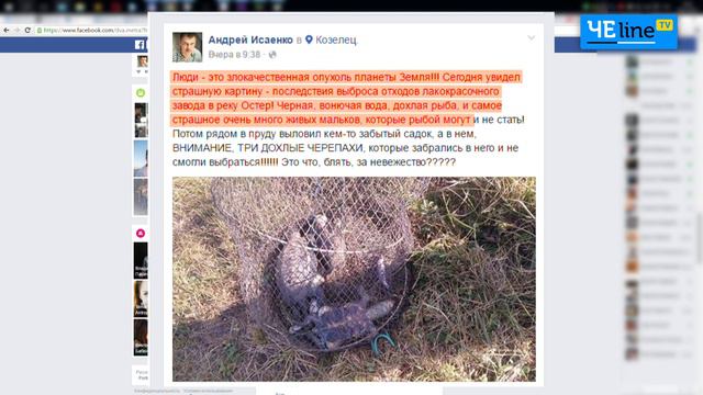 Черниговщина: Вонь, трупы бобров и дохлая рыба. В реке Остер зреет экологическое бедствие смотреть онлайн