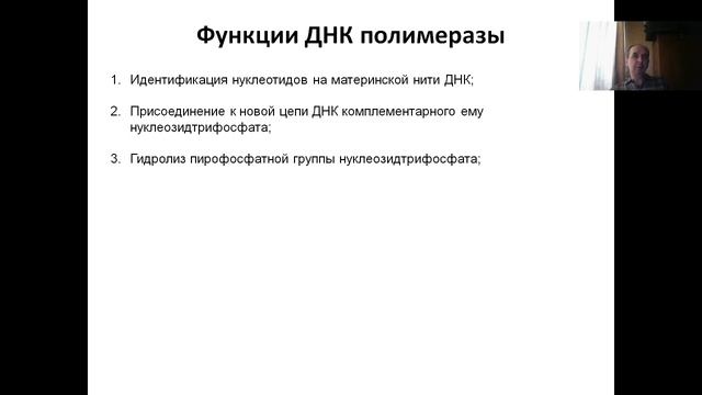 Лекция 2. (2023) Клеточный цикл. Репликация ДНК.