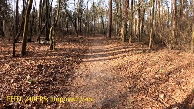 Тест стабилизации GoPro 8 на велосипеде Ноябрь 2019 смотреть онлайн