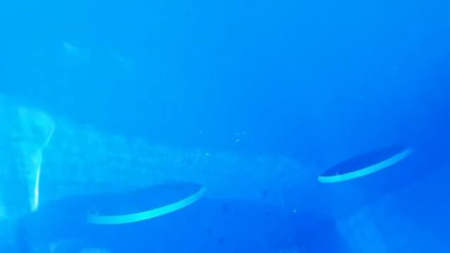 Монтаж дешевого и недорогого септика смотреть онлайн