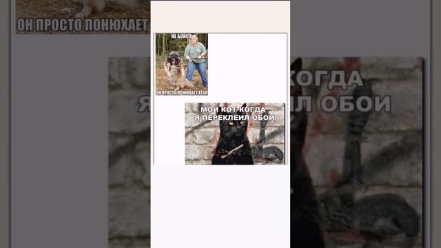 мем (1) смотреть онлайн