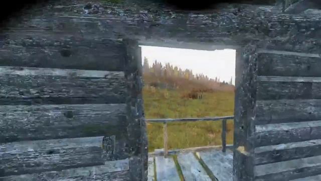 Новичок играет в DAYZ STALKER RP смотреть онлайн