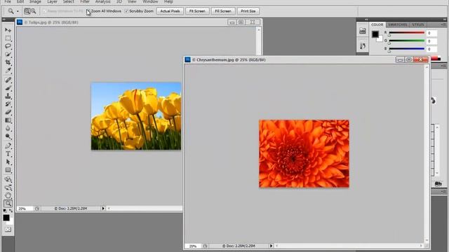 ? Zoom Tool In-Depth • Photoshop CS5 Fundamentals • Graphics Design • Image Creation • (Pt. 6) смотреть онлайн