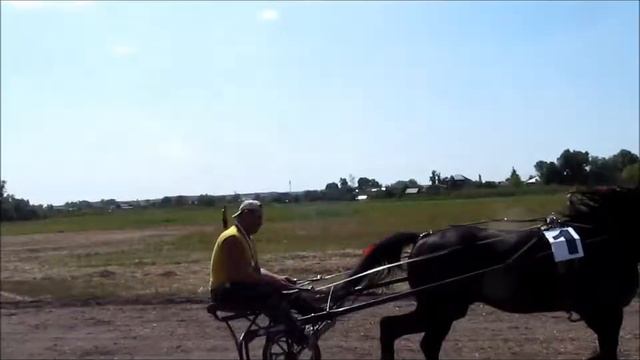 Скачки в Ольховатке 2017 смотреть онлайн