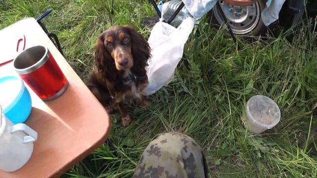 Отдых с ночевкой на Оке. 10.06.2023. Рыбалка не удалась. смотреть онлайн