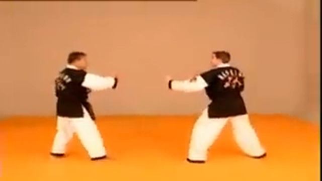 Hapkido Tecnica Basica Nº 1 Impartida Por El Maestro Kwang Sik Myung