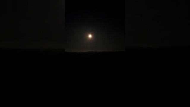 Лунная ночь с соловьиным пением. 04.06.23. смотреть онлайн