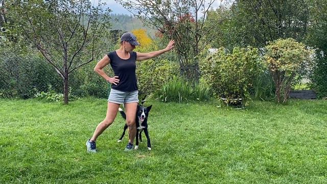 Как научить собаку командам Дрессировка собаки Танцы с собакой Брина. 08.09.2023 г смотреть онлайн