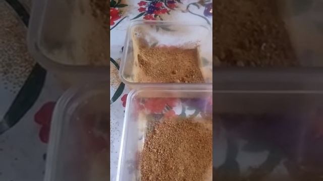 О силе Кыст аль Хиндий(куст,костус) смотреть онлайн