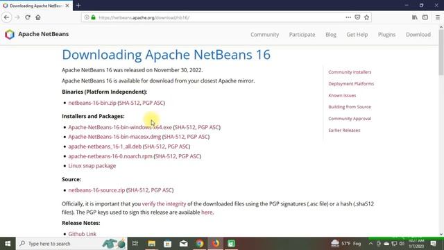 How to Download Apache NetBeans on Windows 10, macOS, Linux смотреть онлайн