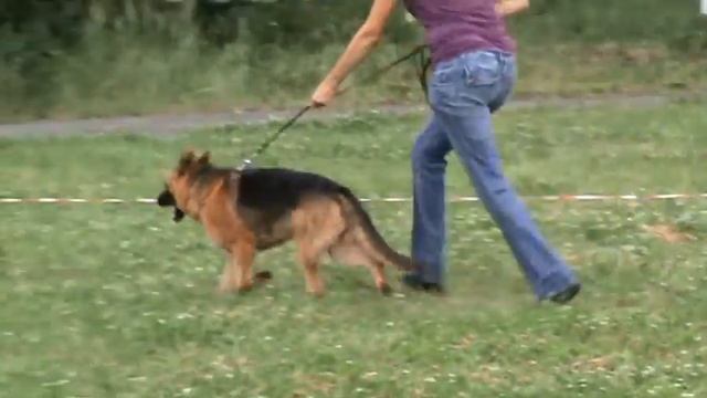 Орский Блюз Танга ринговка смотреть онлайн