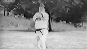 Учебный фильм по Хапкидо. Часть 1