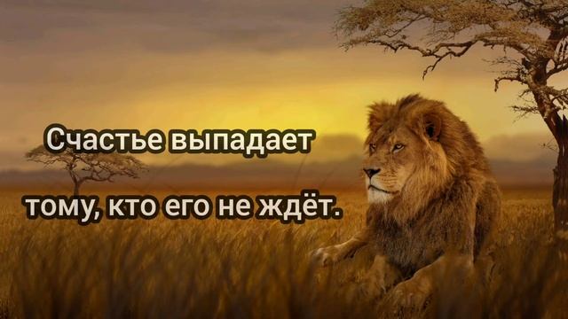 Японская мудрость, пословицы, поговорки смотреть онлайн