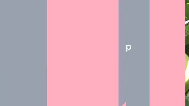 Садовый Центр Зелений Двір - Яблоня Антоновка смотреть онлайн