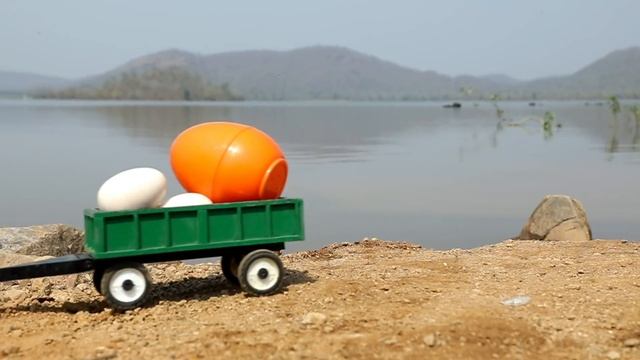 Змеи и их цветные яйца смотреть онлайн