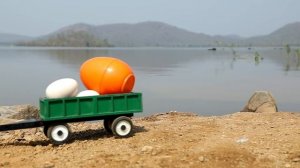 Змеи и их цветные яйца