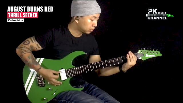 August Burns Red - Endrophins Guitar Cover смотреть онлайн