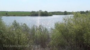 Богдановка, п.Красный Куст, Бондарский район