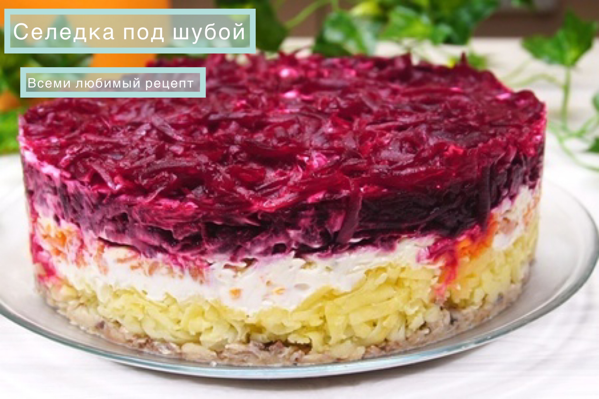 Селедка под шубой