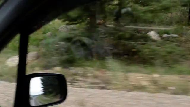 DSC 3781 смотреть онлайн