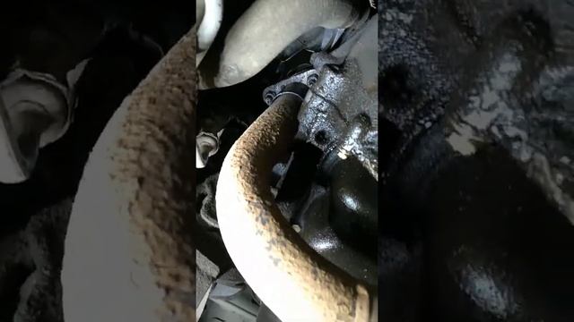 Рецепты для гурманов и ценителей вкуса