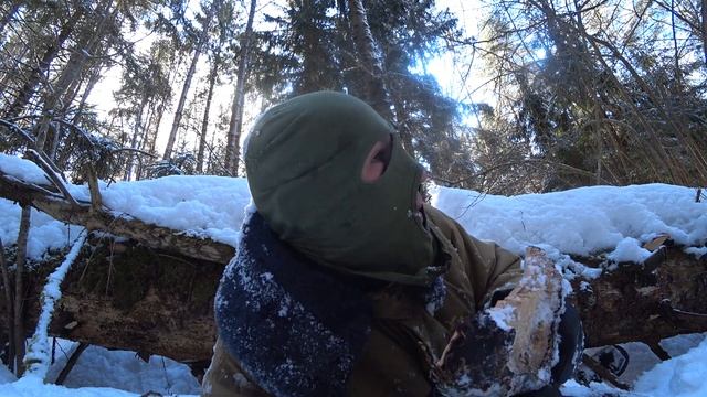 ЗИМНИЕ СЪЕДОБНЫЕ ГРИБЫ ЧАГА-ЧАГА#выживание