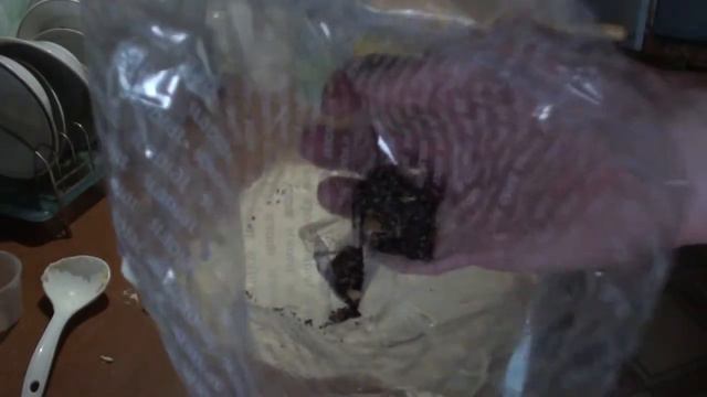 Как правильно испортить слоёные булочки смотреть онлайн