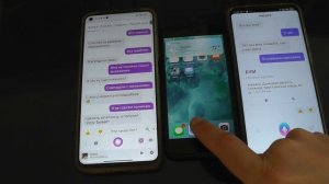 Бой голосовых ассистентов Алиса vs Маруся vs Siri . Яндекс vs Mail.ru vs Apple