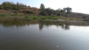 Рыбалка на поплавок на течении