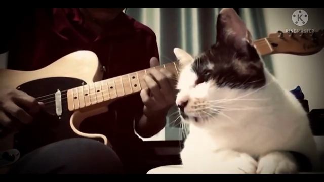 Blues for my boss😼 смотреть онлайн