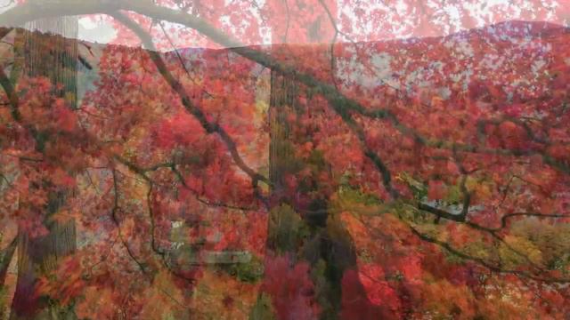 Autumn. Music For Relaxation, Meditation And Sound Sleep.