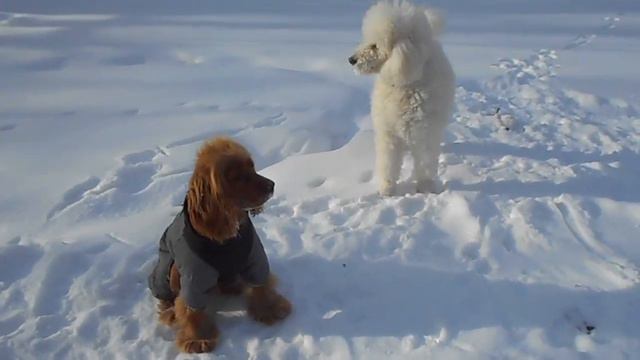 Ты меня пока ещё не знаешь...