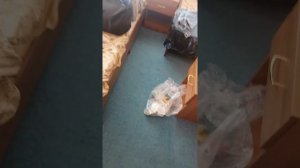 Обзор отель Индиго. Сукко.