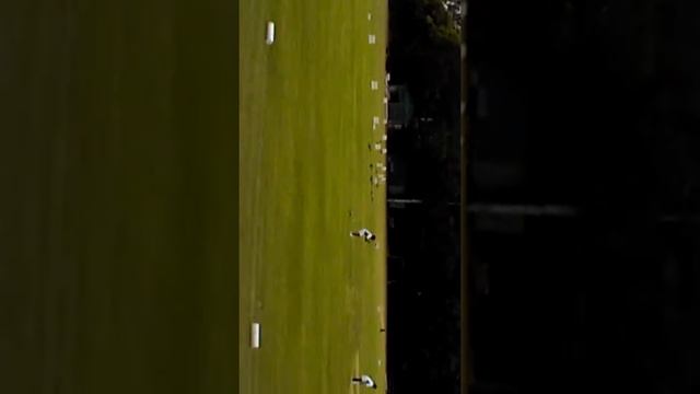 Mini cricket protea south Africa смотреть онлайн