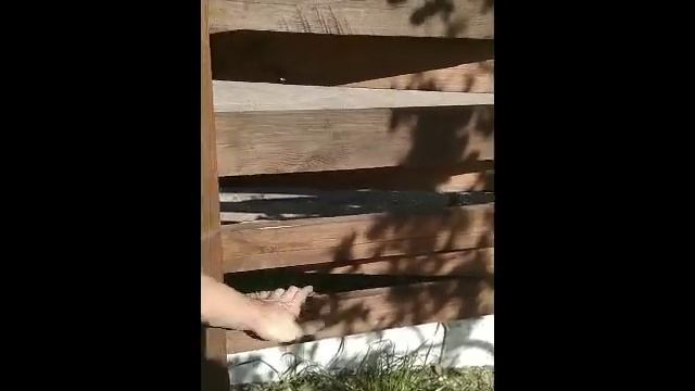 Забор дешево, плетенка, долговечно и оригинально! смотреть онлайн