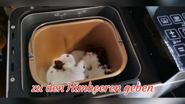 Himbeer-Marmelade aus dem Brotbackautomaten смотреть онлайн